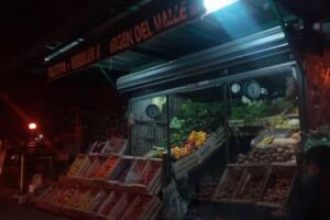 Fruter&iacute;a y Verduler&iacute;a Virgen Del Valle