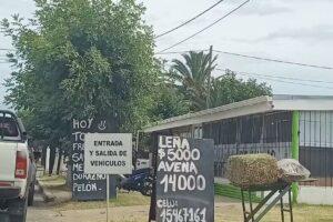 Frutihort&iacute;cola Pehuajo