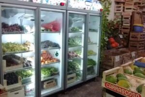 FRUTIHORTICOLA YANDAY