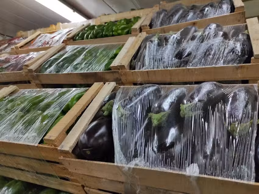 Frutos del campo