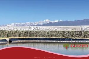 G&uuml;izzo Frutas Frescas S.A.