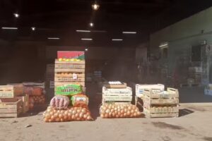 GyM S.R.L. ( EX Fosco)