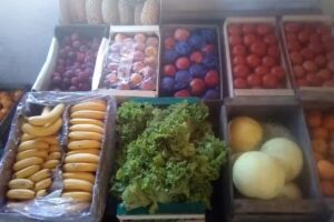 Hortalizas &ldquo;La Familia&rdquo;