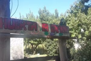 Huerta agroecologica ( la familia )