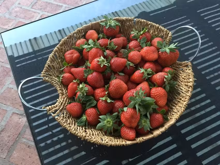 Huerta Grande Green&Berries
