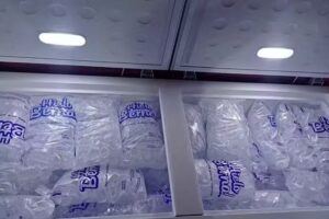 Jade (Fruter&iacute;a-Kiosko)