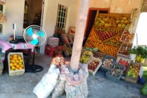 Kiosco y frutería Pablito