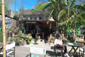 La Agroecológica – Mercadito Orgánico