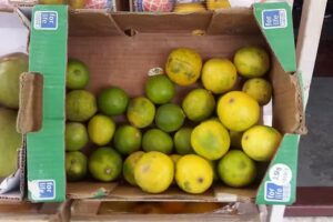 &ldquo;La Bella&rdquo;