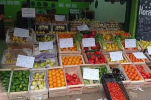 La Cooperativa.Olivos