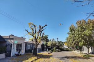 LA ESQUINA II FRUTAS Y VERDURAS