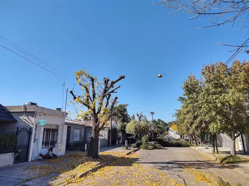 LA ESQUINA II FRUTAS Y VERDURAS