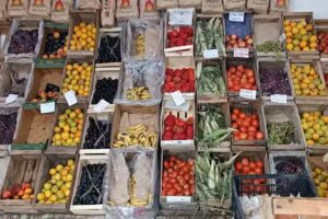 LA ESTRELLA verduleria