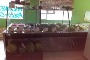 LA FAMILIA ALMACEN VERDULERIA POLLERIA