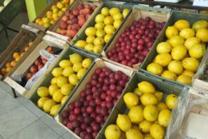 La FAVORITA verduler&iacute;a y fruter&iacute;a