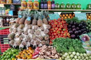 La Finca de Saavedra