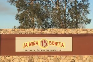 La Niña Bonita