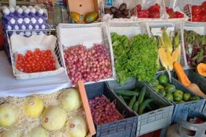 &ldquo;LA NORI&rdquo; Polleria/verduleria