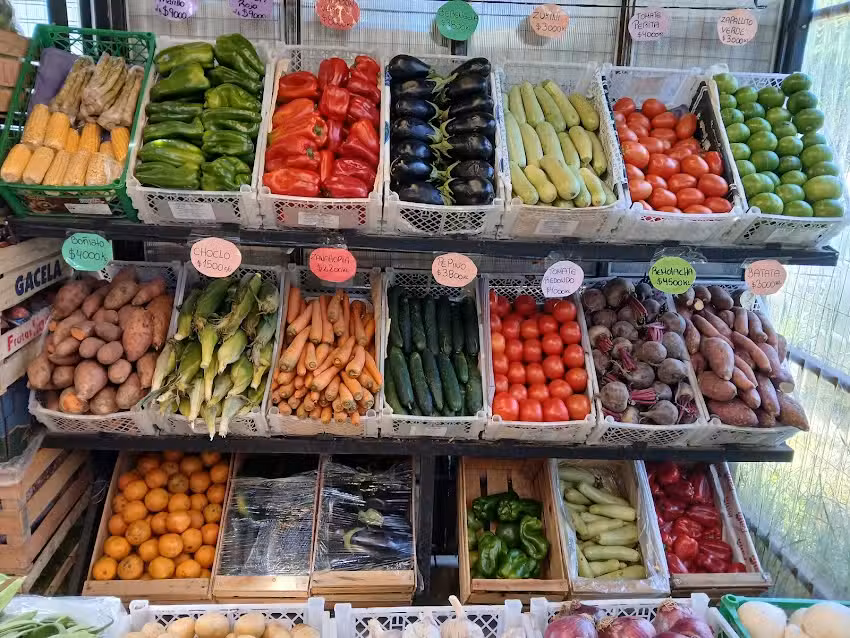 La nueva feria verduler&iacute;a