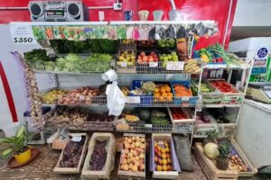 La Nueva Super Feria (Carnicer&iacute;a, Verduler&iacute;a, Despensa)