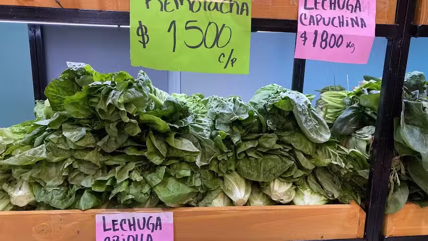 La Pasi&oacute;n