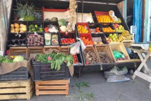 &ldquo;LA VERDU J&O&rdquo;