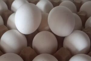 “La Verdu San Juan”