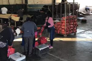 Lavadero de Zanahorias Juanito