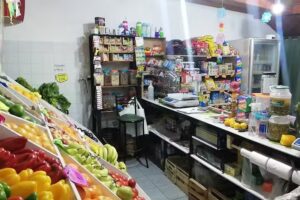 Leandy Verduler&iacute;a y almac&eacute;n