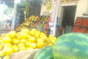 LO DE MILY frutas y verduras