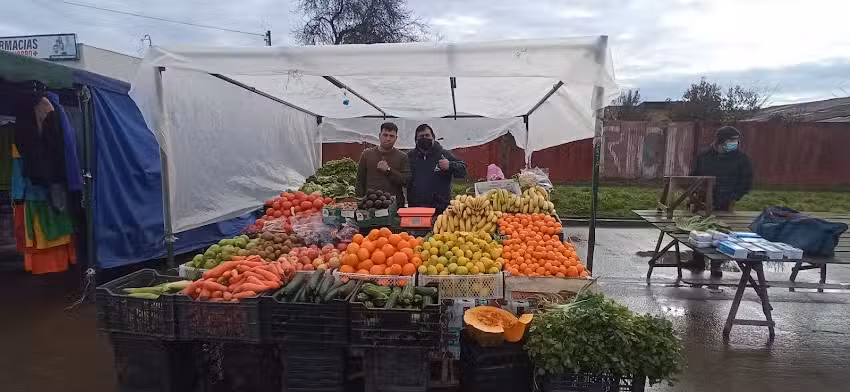Los &Aacute;lamos