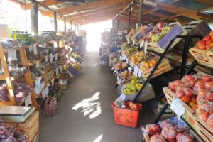 Los invernaderos de Lourdes