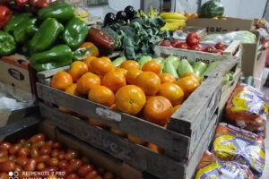 MANDARINA Fruter&iacute;a y verduler&iacute;a