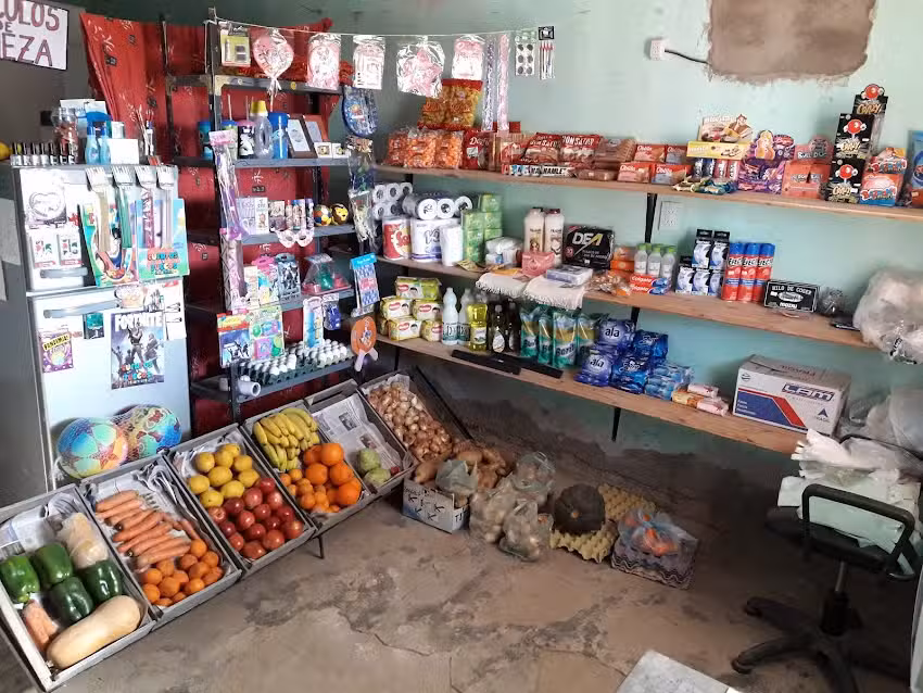 Maxikiosko, art de limpieza, comestibles, verduras.