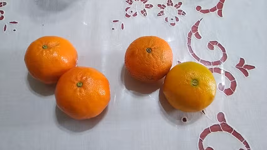 Mercado Comunitario de Frutas