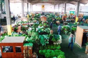 Mercado de Abasto de R&iacute;o Cuarto S.A.