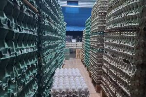 Mercado de burzaco Los 2 hermanos