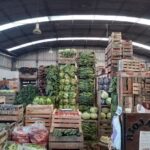 Mercado De Frutas y Hortalizas