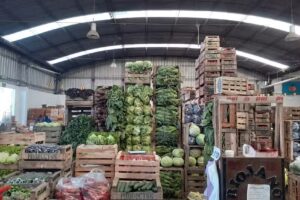 Mercado De Frutas y Hortalizas