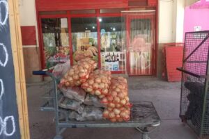 MERCADO-VERDULERIA VIÑA BLANCA