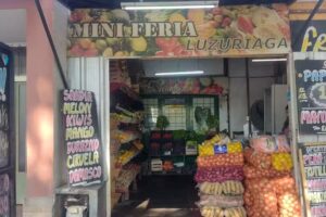 MINI FERIA LUZURIAGA