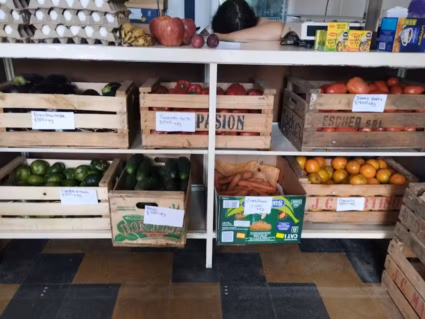 MINI MARKET FRUTER&Iacute;A VERDULER&Iacute;A ALMAC&Eacute;N