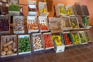 Minimarket potrerillo