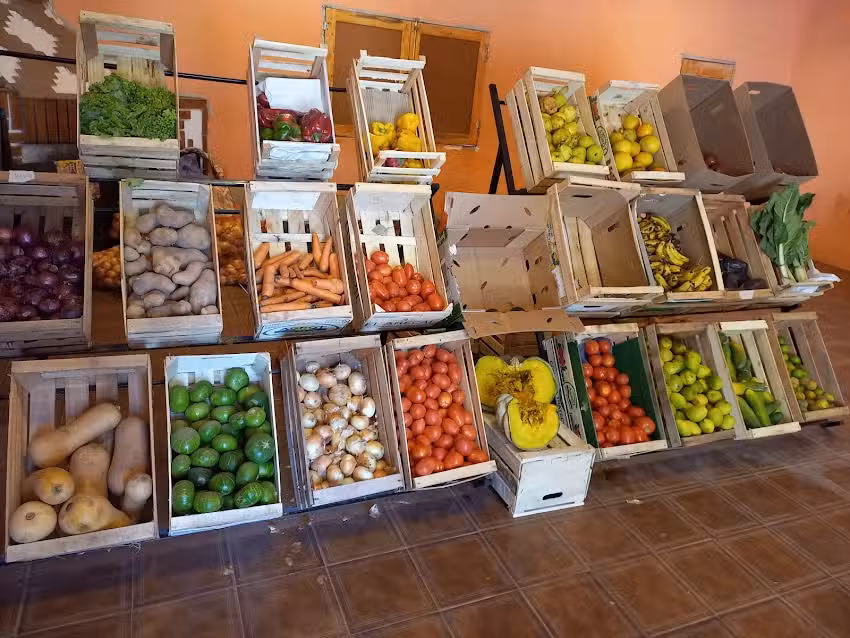 Minimarket potrerillo