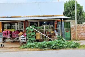 MiVerduleria &ldquo;Savoia&rdquo;