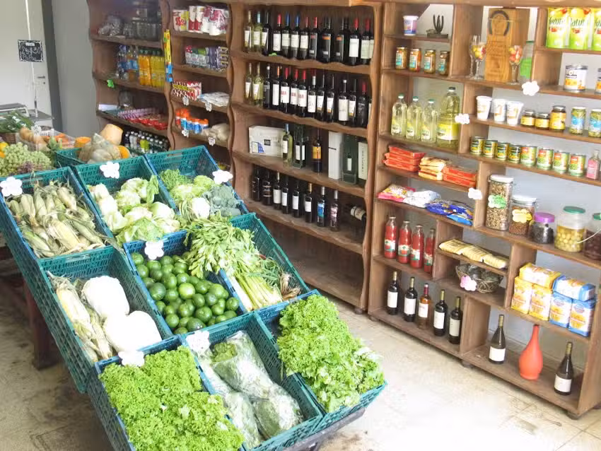 MOLINA Productos de campo