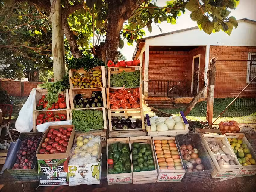 Naranjas valencianas