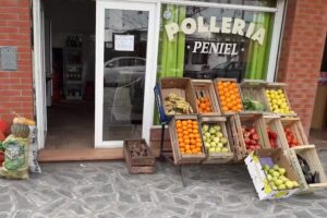 Polleria, Verduleria PENIEL