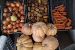 Poller&iacute;a, verduler&iacute;a y almac&eacute;n Chloe