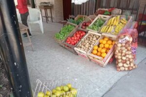 POROTIN fruter&iacute;a y verduler&iacute;a